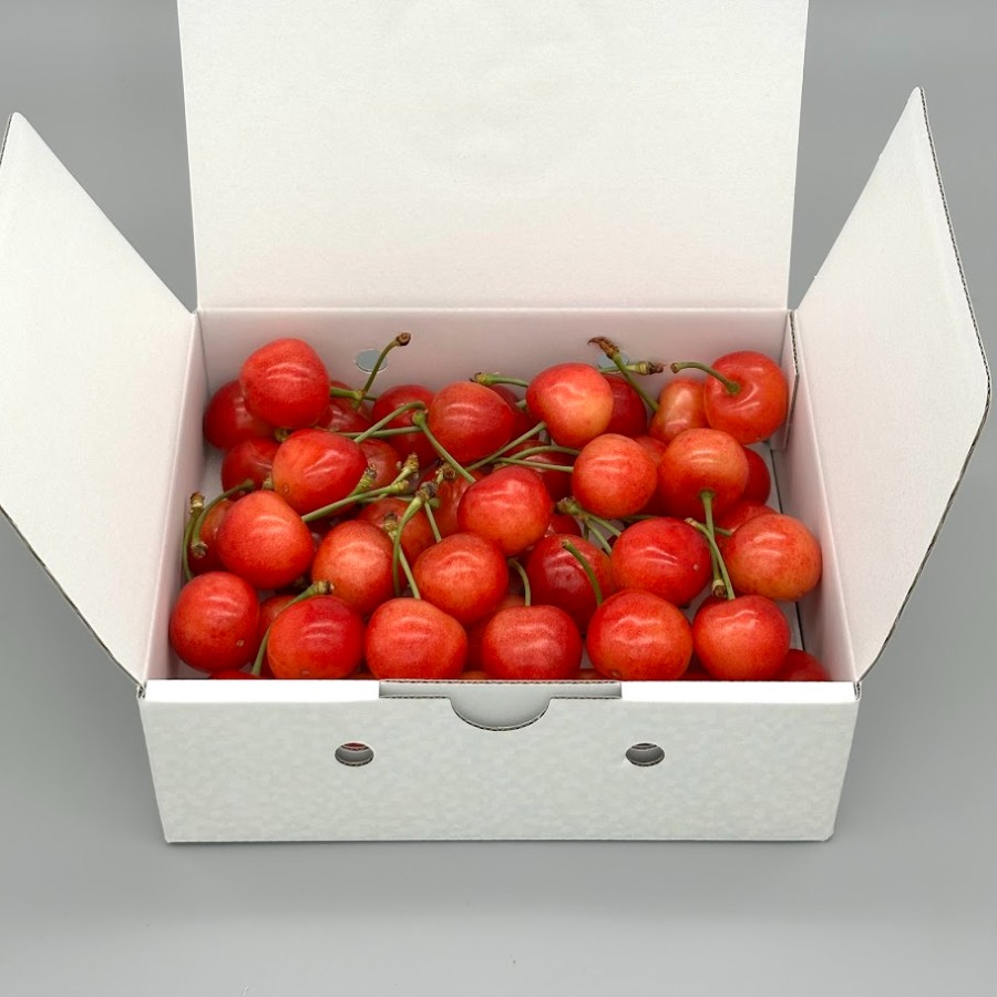 <岩原果樹園>北杜市産 さくらんぼ 3L~4L500g バラ箱詰め