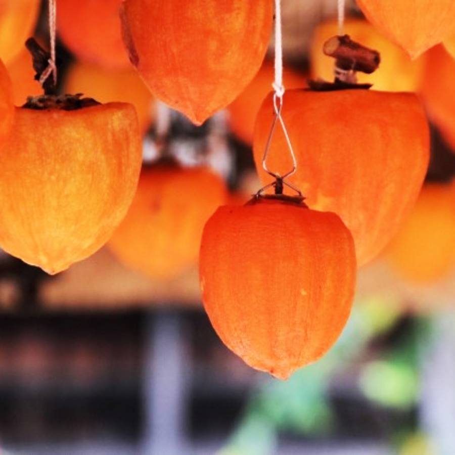 笛吹市産石和町広瀬の枯露柿6玉400g