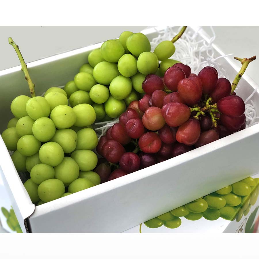 超希少種マイハート1房&シャインマスカット2-3房 計1.8kg相当