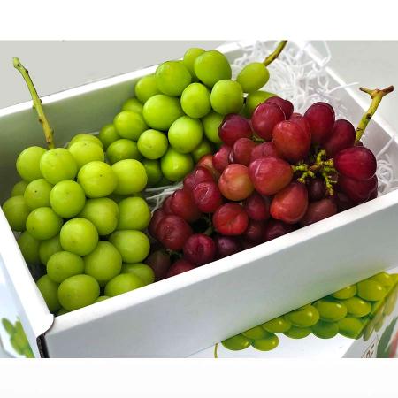 超希少種マイハート1房＆シャインマスカット2-3房　計1.8kg相当