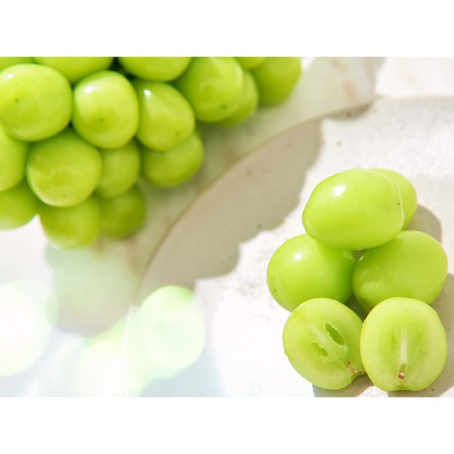 ＜Bonchi＞甲州市産 大粒シャインマスカット2房入り　1.3kg 自然農法