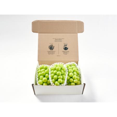 ＜Bonchi＞甲州市産 大粒シャインマスカット3房入り　2kg 自然農法