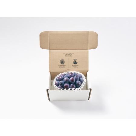 ＜Bonchi＞甲州市産 種無し大粒ピオーネ1房入り　550g 自然農法
