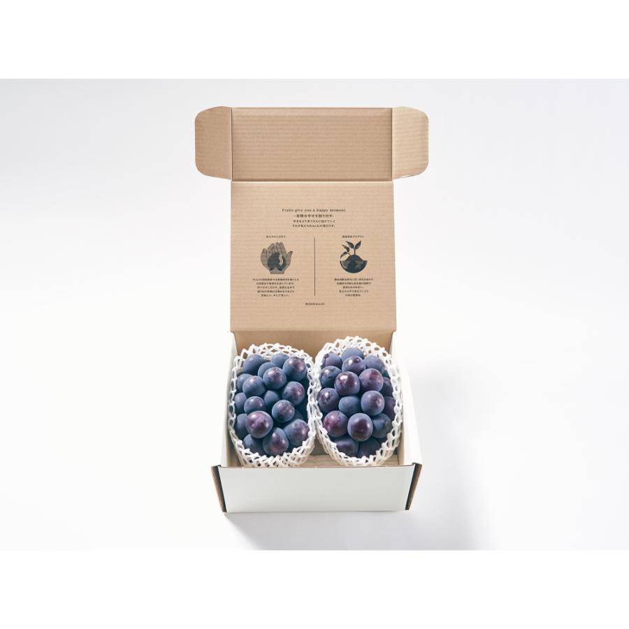 <Bonchi>甲州市産 種無し大粒ピオーネ2房入り 1.1kg 自然農法