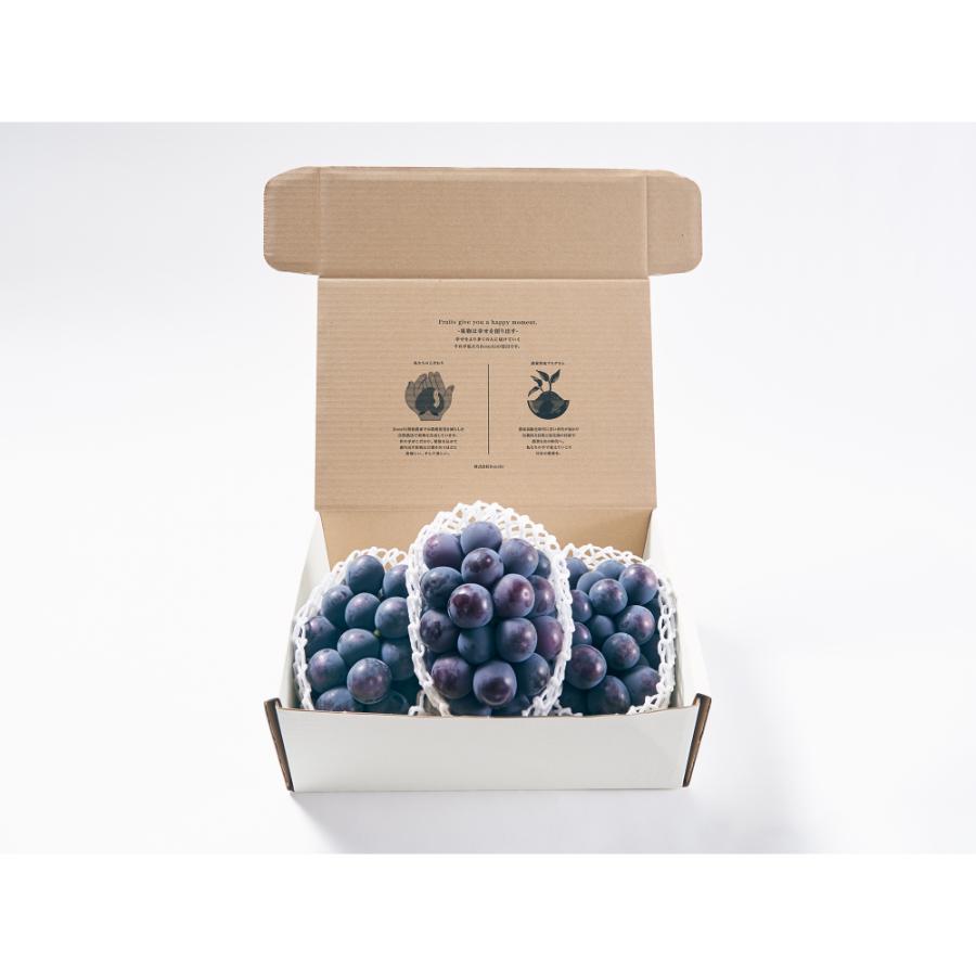 <Bonchi>甲州市産 種無し大粒ピオーネ3房入り 1.6kg 自然農法