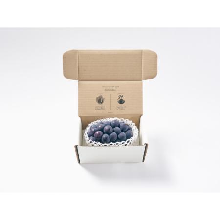 ＜Bonchi＞甲州市産 種無し大粒巨峰 1房入り　500g 自然農法
