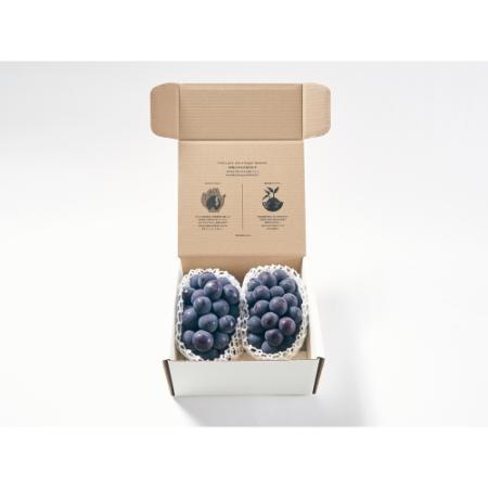 ＜Bonchi＞甲州市産 種無し大粒巨峰 2房入り　1kg 自然農法