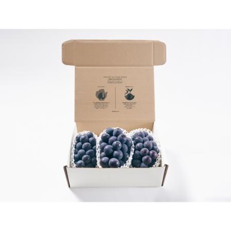 ＜Bonchi＞甲州市産 種無し大粒巨峰 3房入り　1.5kg 自然農法