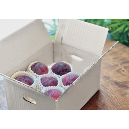 ＜Bonchi＞甲州市産 貴陽 1kg(5～7個入) 自然農法