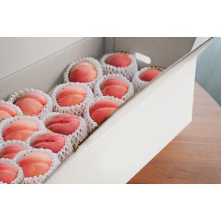 ＜Bonchi＞甲州市産 桃 5kg(10～13個入) 自然農法