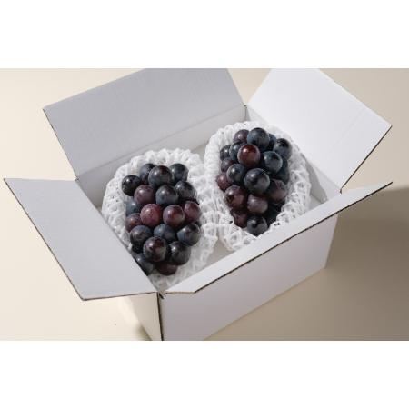 ＜Bonchi＞甲州市産 種無し巨峰 2房入(900g) 自然農法