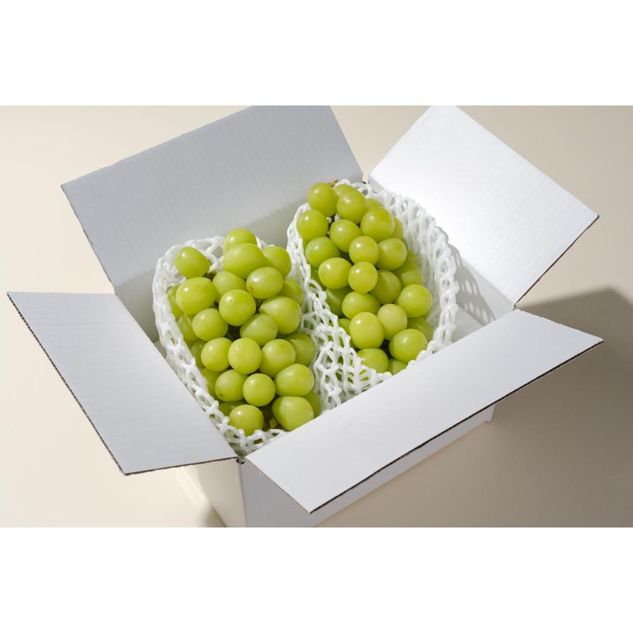 <Bonchi>甲州市産 シャインマスカット 2房入(1.1kg) 自然農法