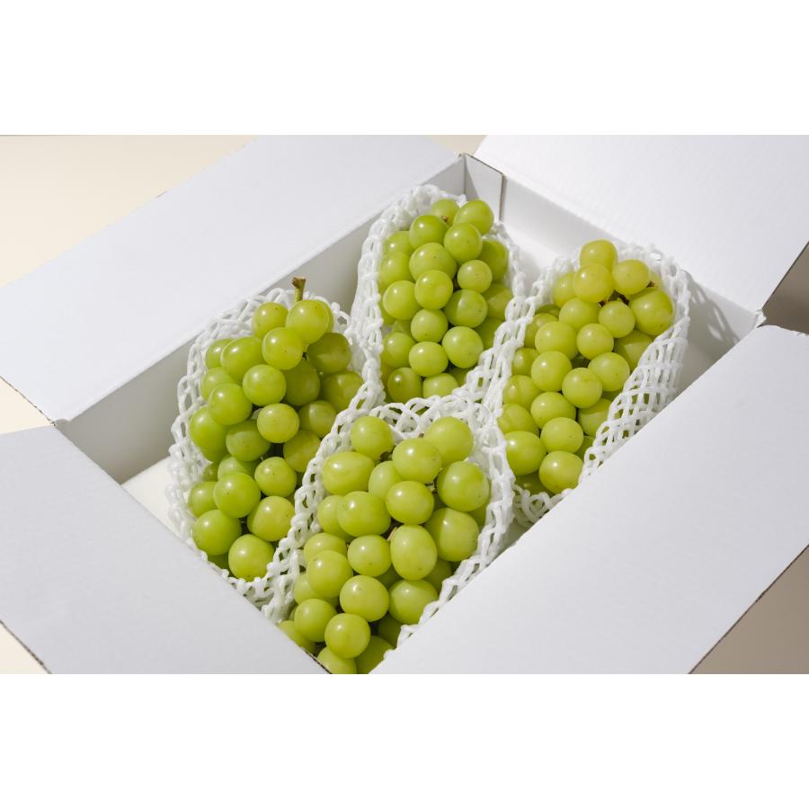 <Bonchi>甲州市産シャインマスカット4~5房入(2.2kg) 自然農法
