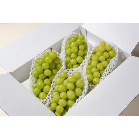 ＜Bonchi＞甲州市産シャインマスカット4～5房入(2.2kg) 自然農法
