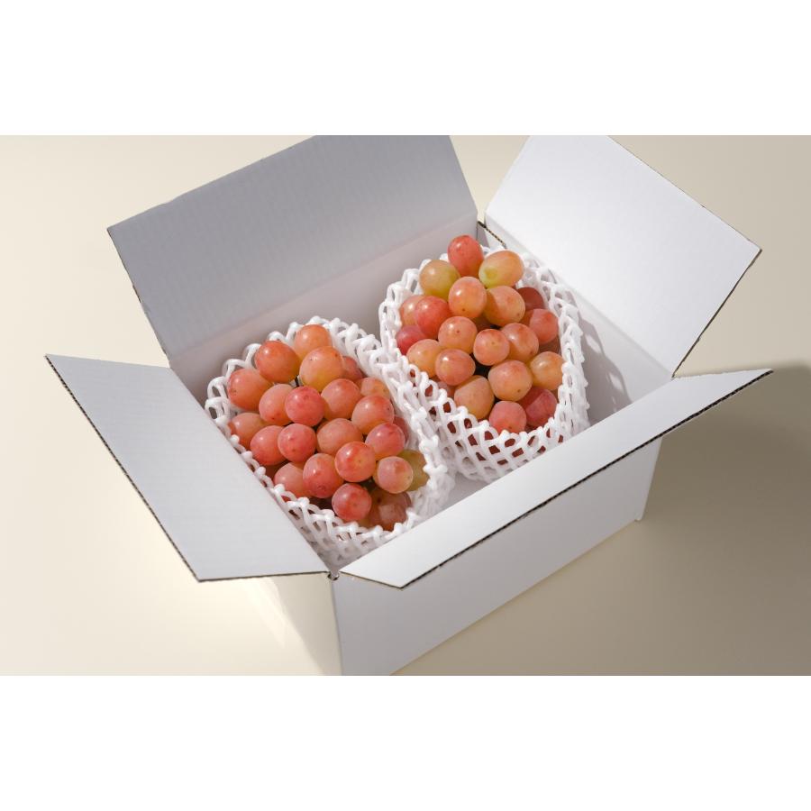 <Bonchi>甲州市産サンシャインレッド2房入(1.1kg)自然農法