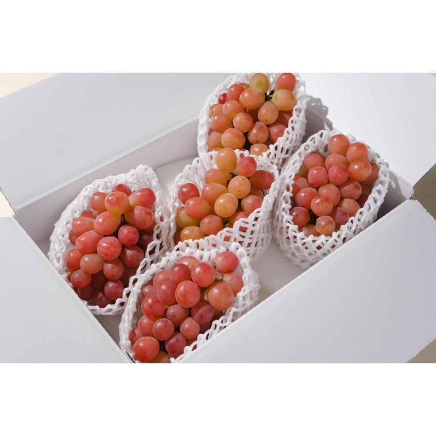 <Bonchi>甲州市産サンシャインレッド4~5房入(2.2kg)自然農法