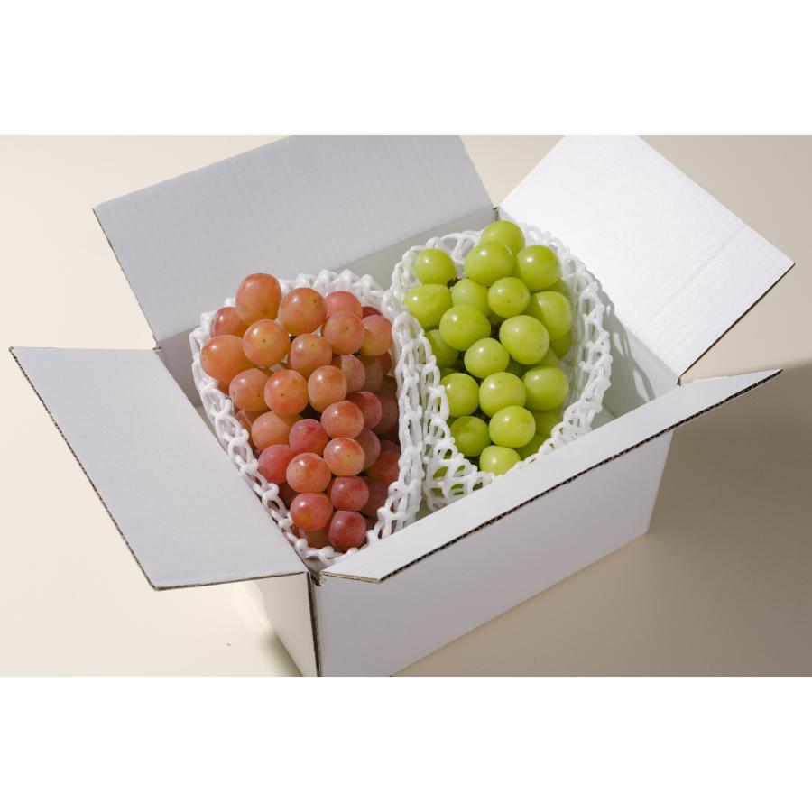 <Bonchi>甲州市産 シャインマスカット&サンシャインレッド 2房入(1.1kg) 自然農法