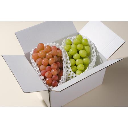 ＜Bonchi＞甲州市産 シャインマスカット&サンシャインレッド 2房入(1.1kg) 自然農法