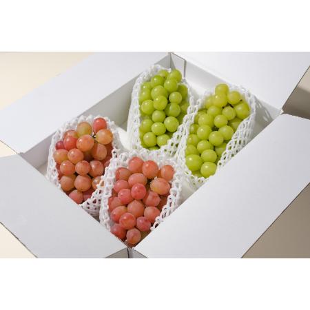 ＜Bonchi＞甲州市産 シャインマスカット&サンシャインレッド 4房入(2.2kg) 自然農法