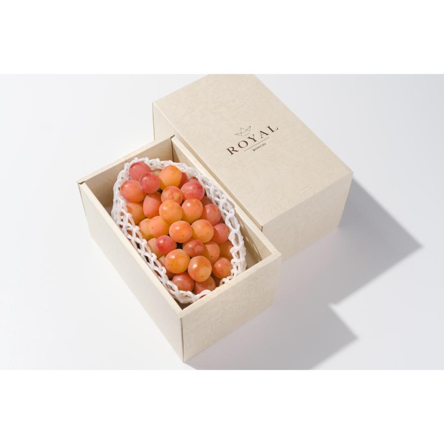 <Bonchi>甲州市産 大粒サンシャインレッド1房入630g自然農法