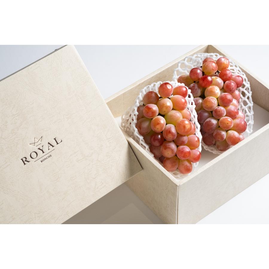 <Bonchi>甲州市産 大粒サンシャインレッド 2房入(630g相当/房) 自然農法
