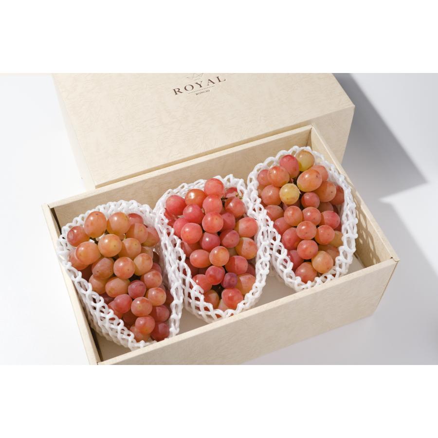 <Bonchi>甲州市産大粒サンシャインレッド3房入(630g相当/房)自然農法