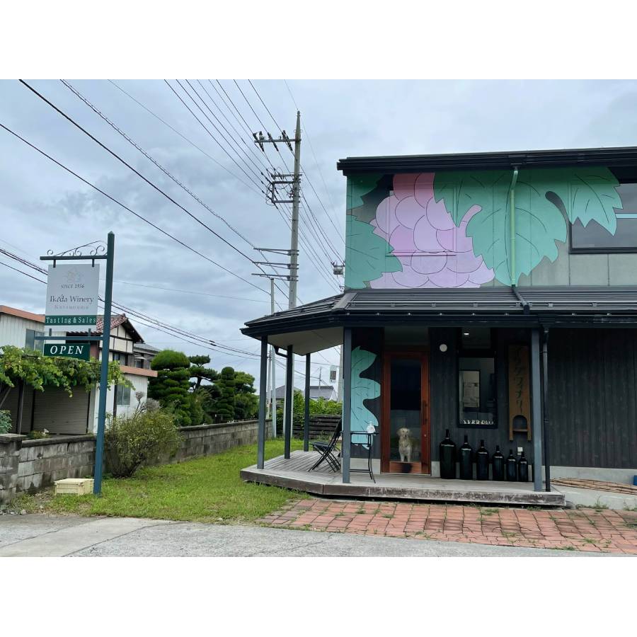 甲州市定番赤ワイン2本セット