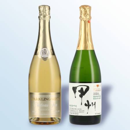 甲州市定番スパークリングワイン2本セット