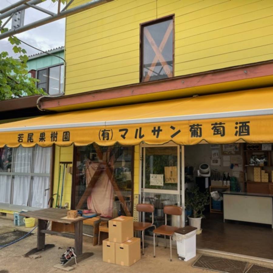 甲州市オレンジワイン3本セット