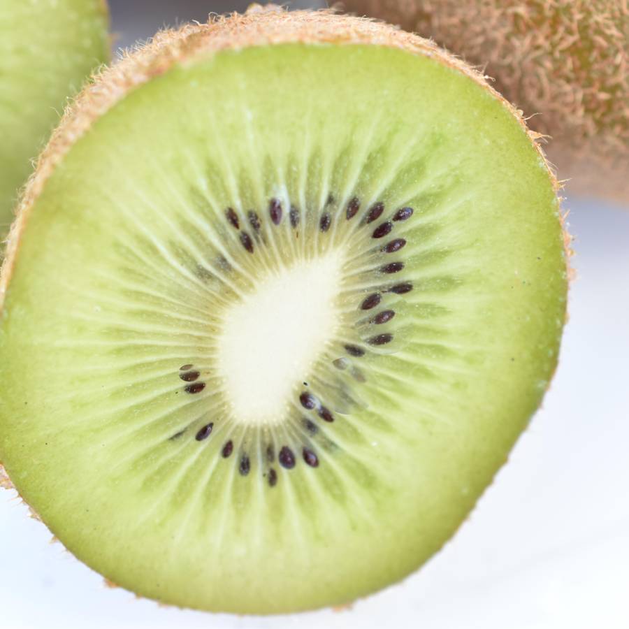 <河口澄明>山梨県産キウイフルーツ ヘイワード1.3kg
