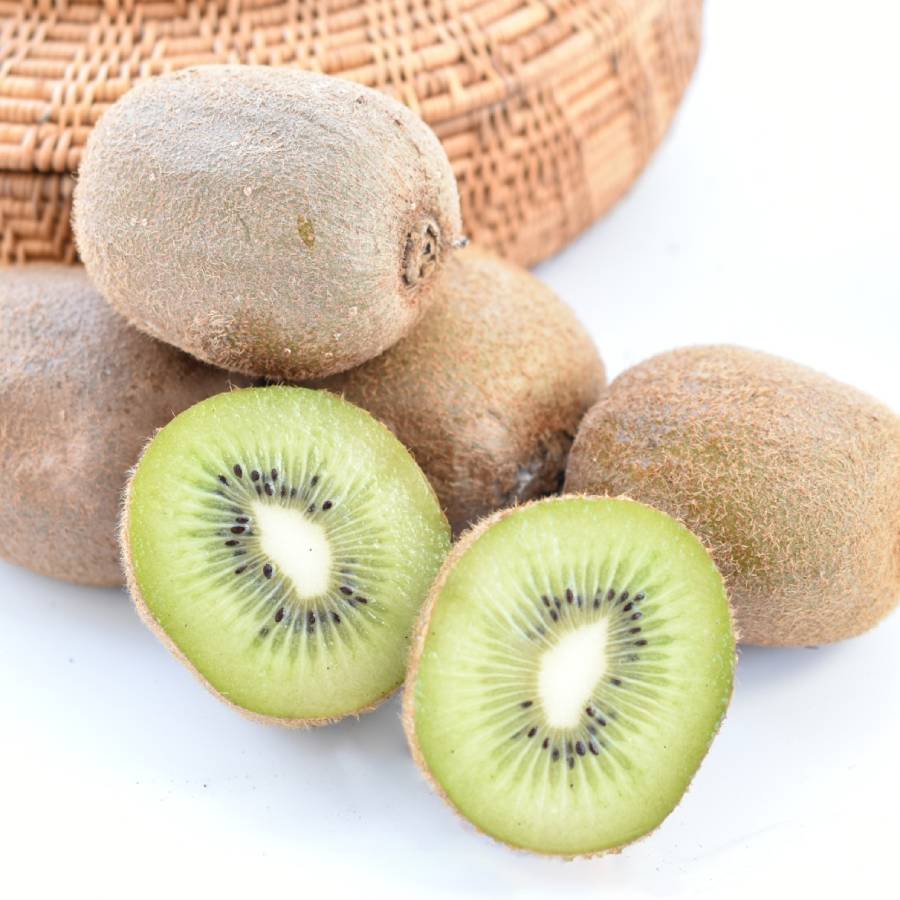 <河口澄明>山梨県産キウイフルーツ ヘイワード1.3kg