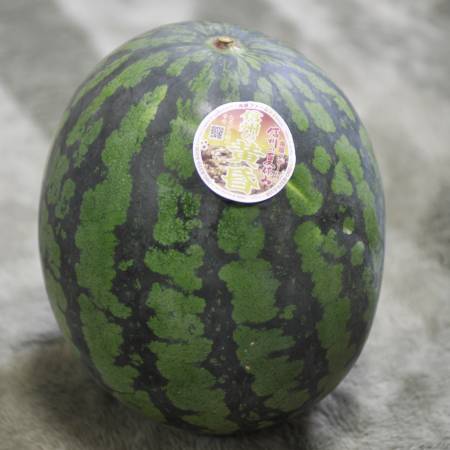 ステビア栽培すいか「黄昏羅王」