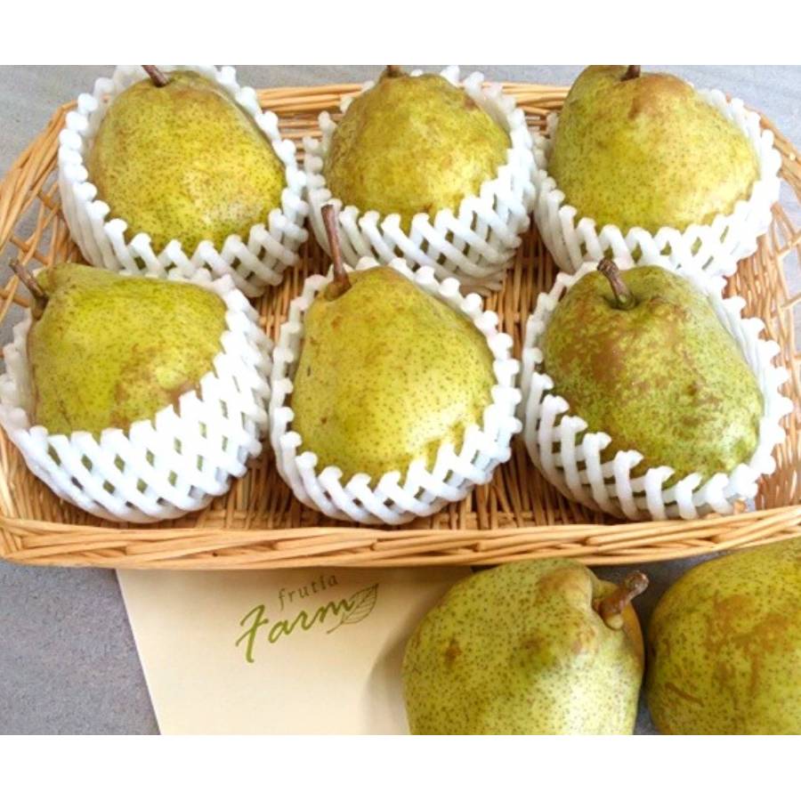 <フルーティアファーム 洋梨畑>長野県産ラフランス2kg