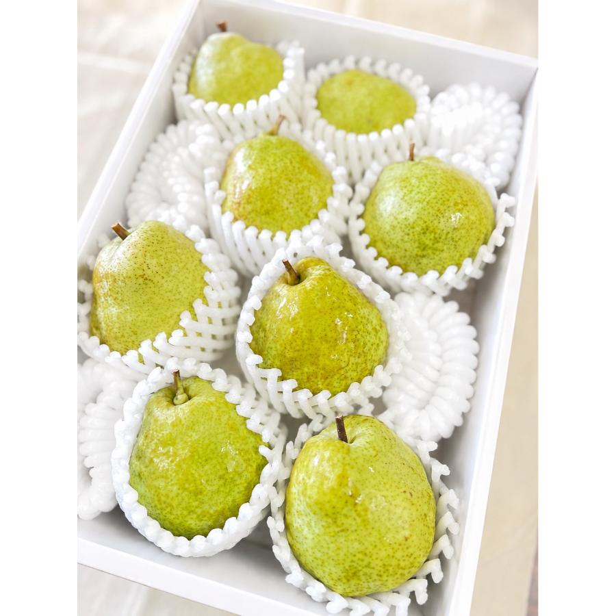 <フルーティアファーム 洋梨畑>長野県産ラフランス2kg