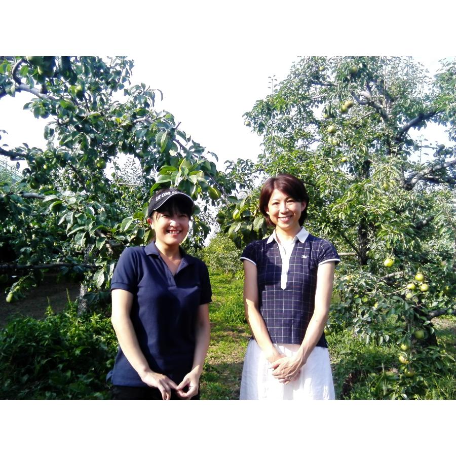 <フルーティアファーム 洋梨畑>長野県産ラフランス2kg