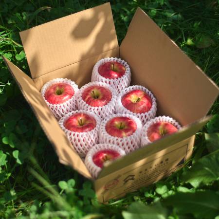 ＜やまだい農園＞減農薬栽培　信州産最高級品3kg【サンふじ】(三越伊勢丹選定)