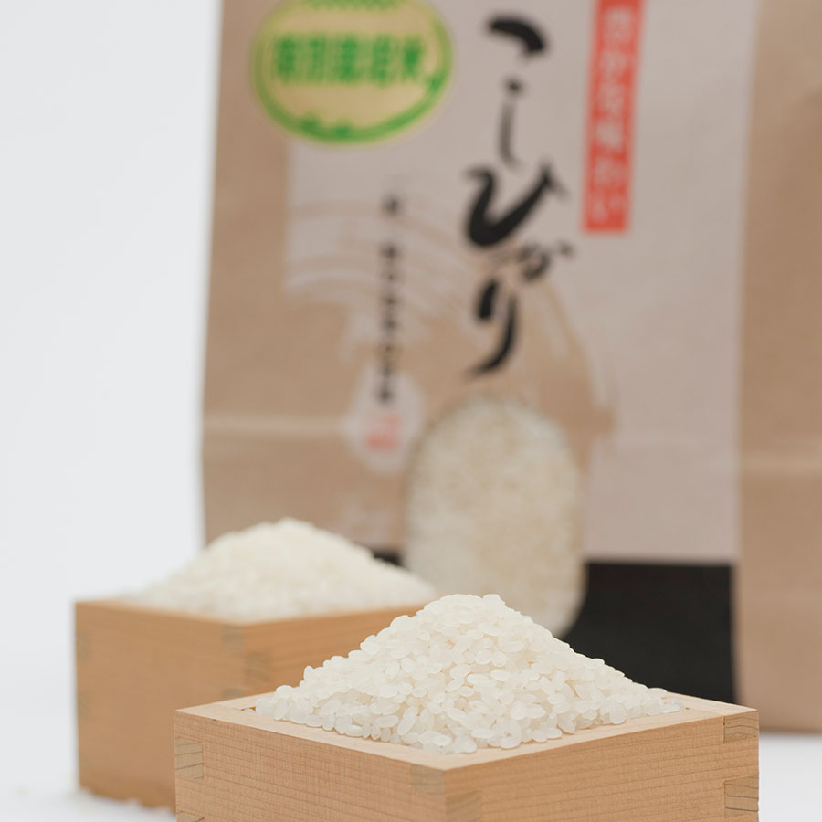 【令和4年産新米】特別栽培米こしひかり3kg