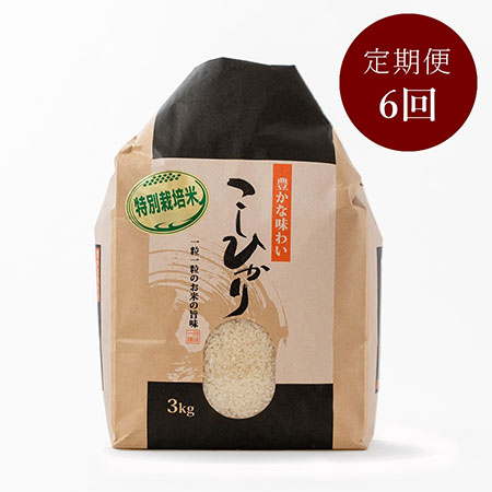 特別栽培米こしひかり3kg　定期便6回　1月開始