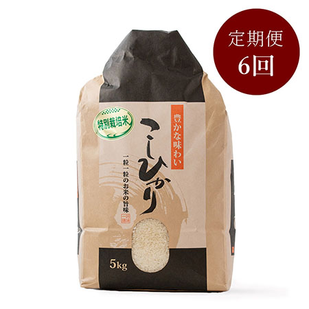 特別栽培米こしひかり5kg　定期便6回　10月開始