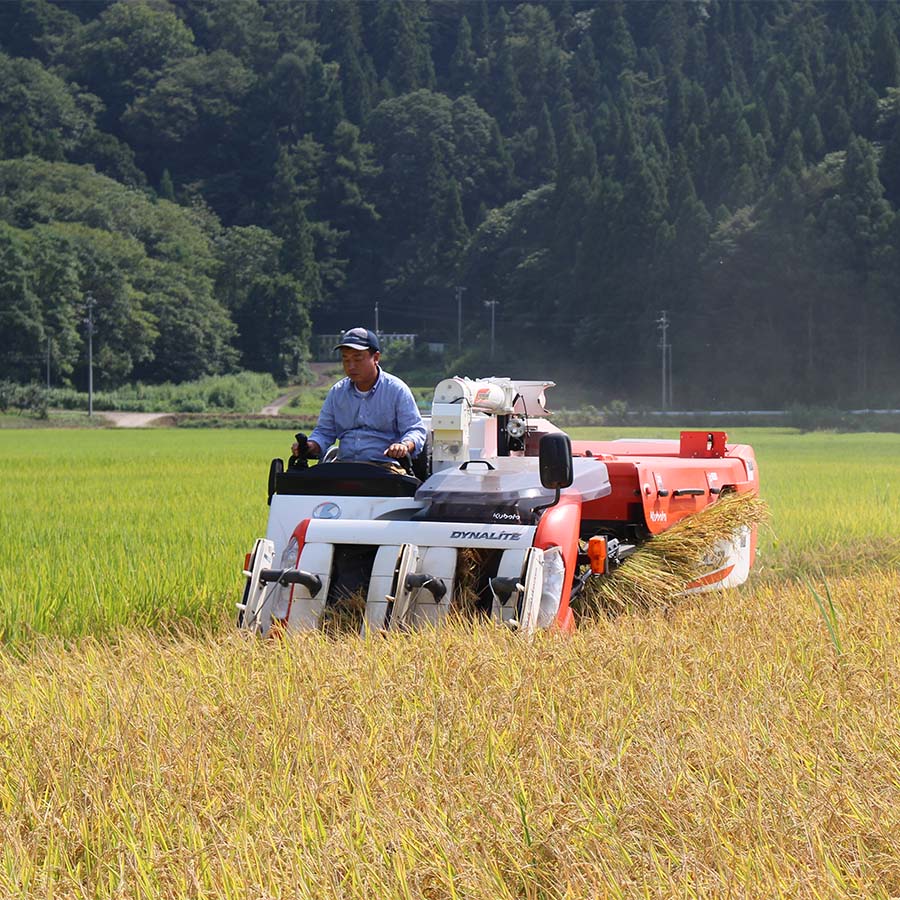 小柳農園のお米食べ比べセット 各2kg（計4kg）