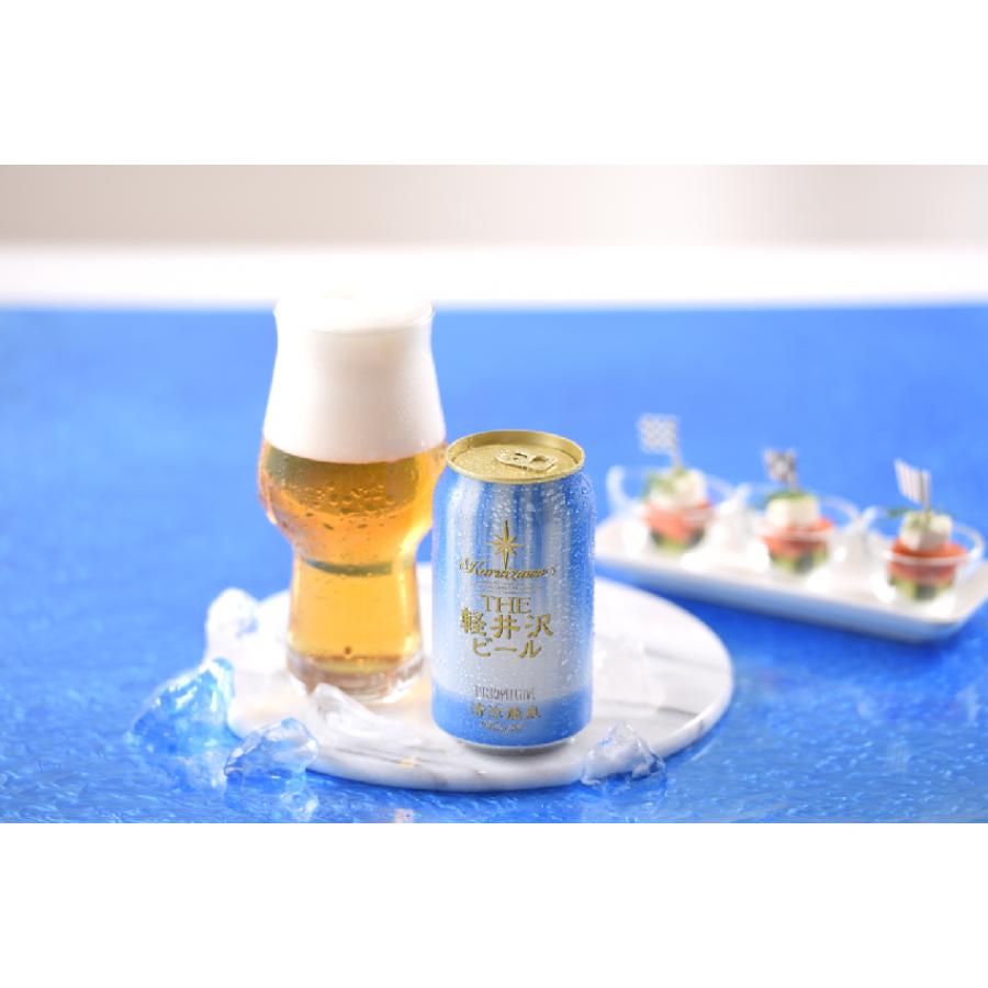 ＜軽井沢ブルワリー＞10種飲み比べアソート350ml×20本