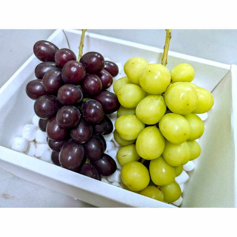 ＜マルモ秀果園＞クイーンルージュと旬のぶどう(品種お任せ）　2房ぶどう2房、合計1.2kg