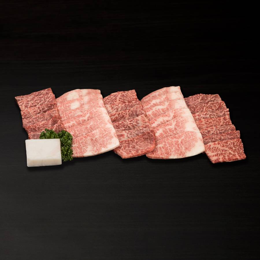 A5等級飛騨牛焼肉(もも・バラ)500g