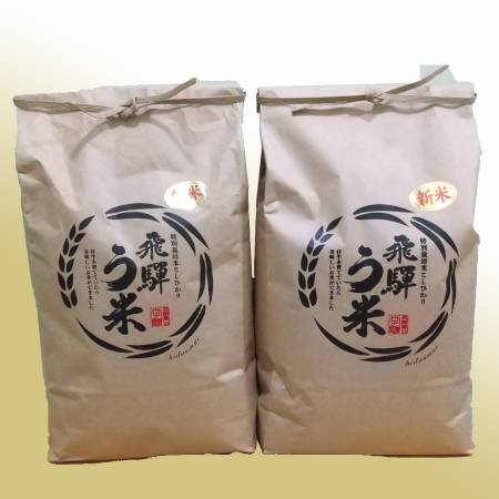 ＜拳＞食味コンクール3年連続『特別優秀賞』特別栽培米「こしひかり」飛騨う米5kgx2（計10kg）