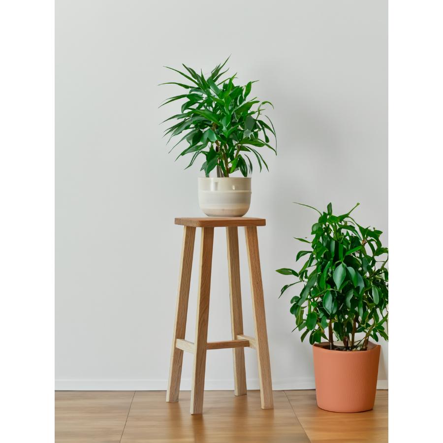 ＜オークヴィレッジ＞ハイスツール