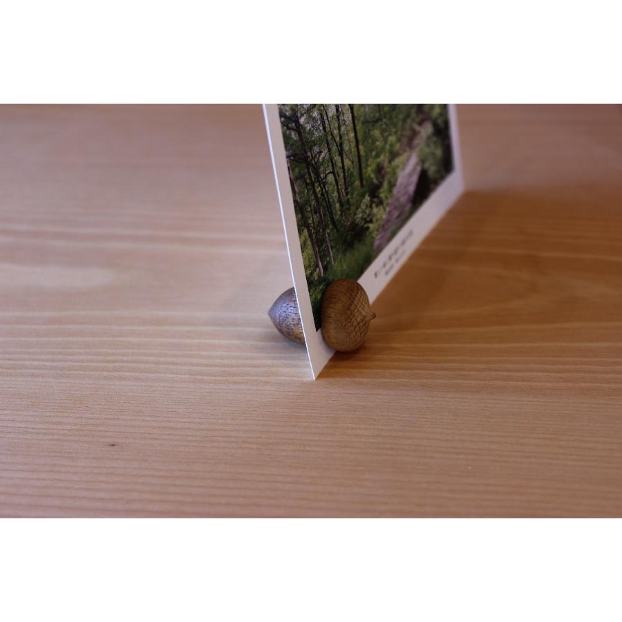 ＜オークヴィレッジ＞どんぐりカードスタンド　３個セット