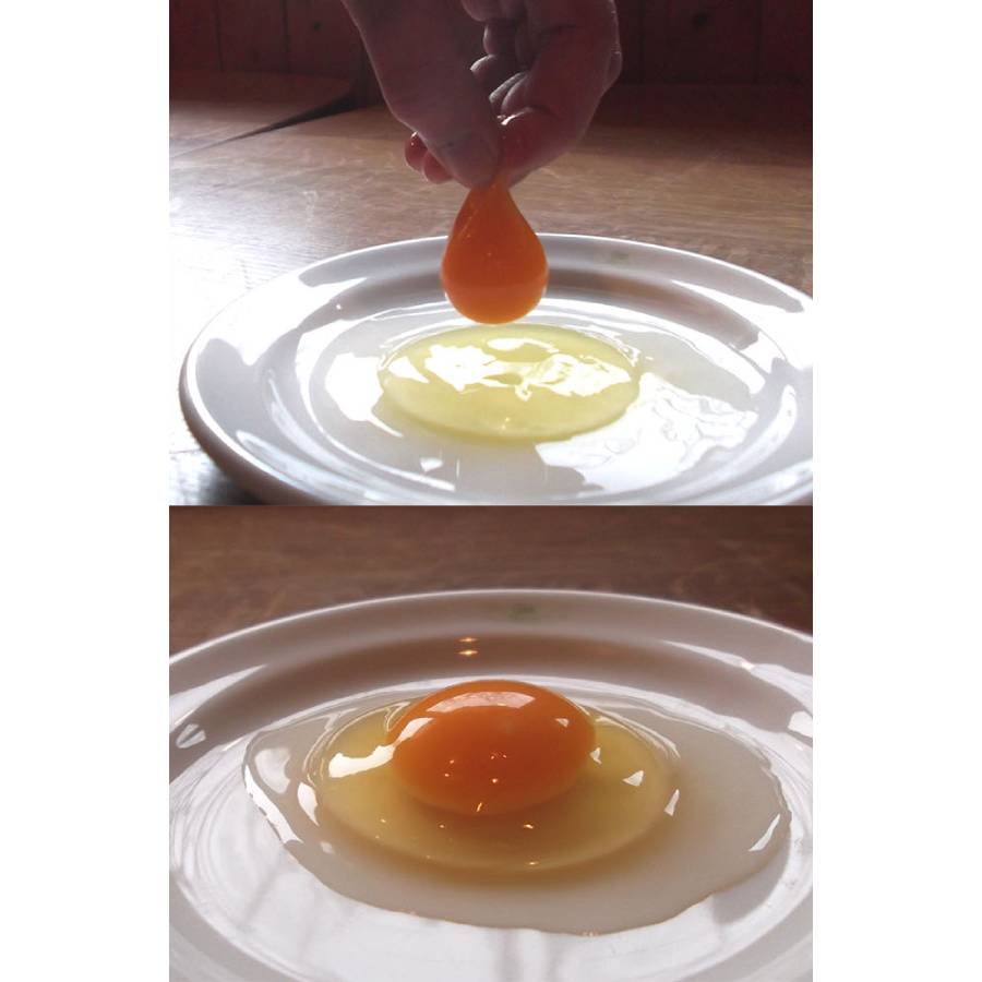 ＜森のたまご農園＞「平飼い卵」24個