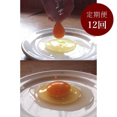 ＜森のたまご農園＞「平飼い卵」24個【12か月定期便】