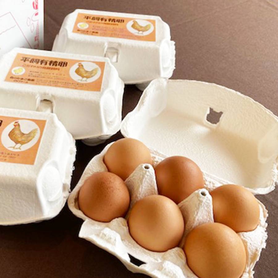 ＜森のたまご農園＞「平飼い卵」24個【12か月定期便】