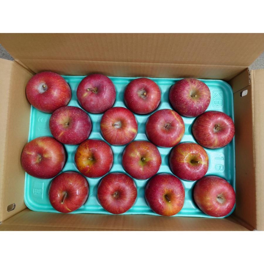 【もったいない！を食べよう】飛騨産りんご　ふじ　4.5kg